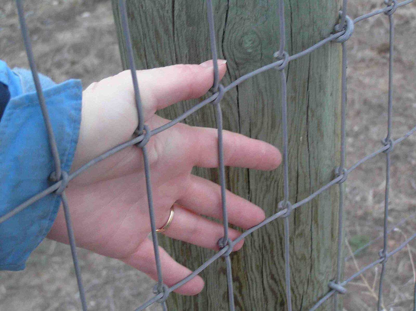 Close-up of woven wire fence mesh on a wooden post